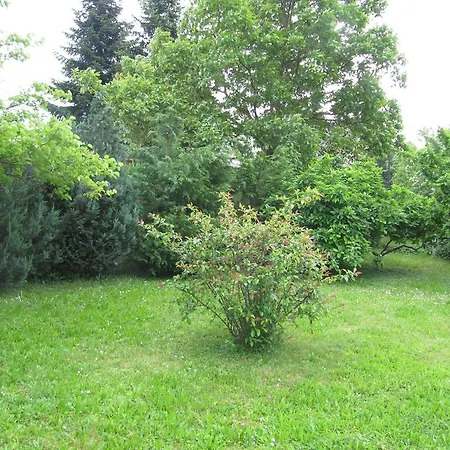 Budai Garden House Дом отдыха Хевиз